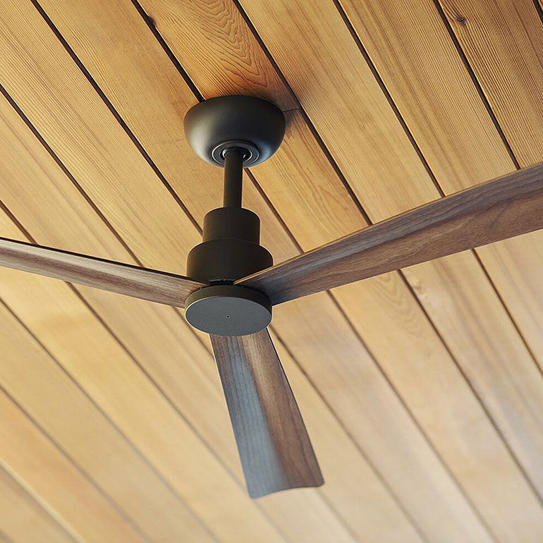 Ceiling Fans